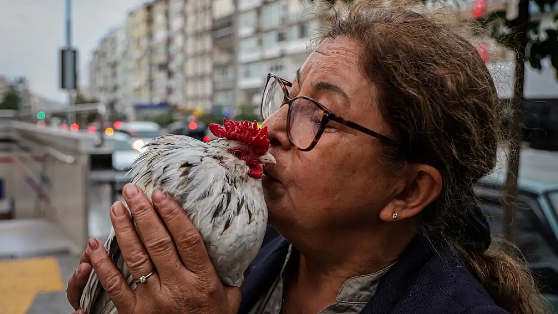 ‘Bıdık’ ile sokak sokak geziyor