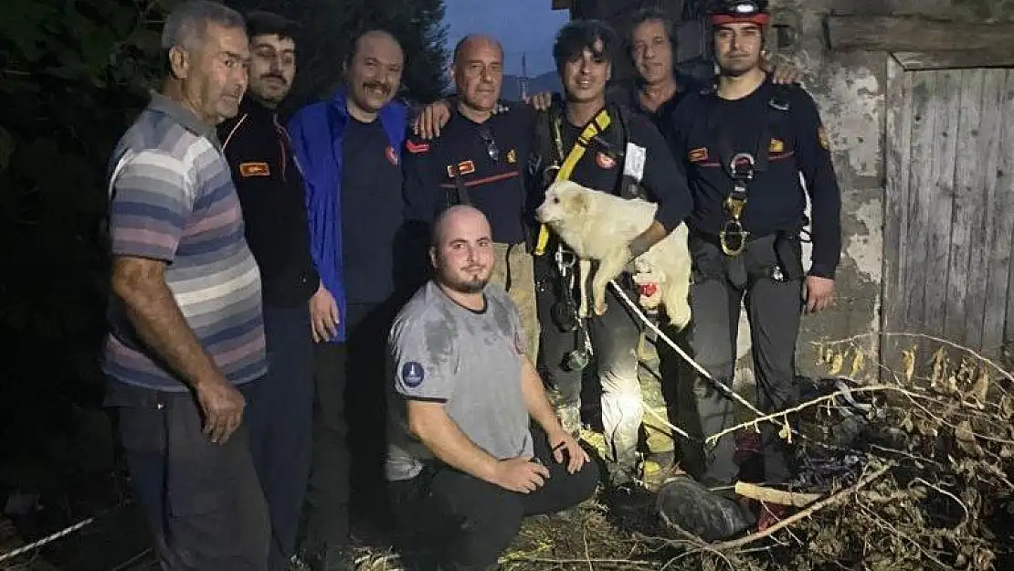 Bir aydır kayıp olan Pamuk'u İzmir İtfaiyesi buldu!