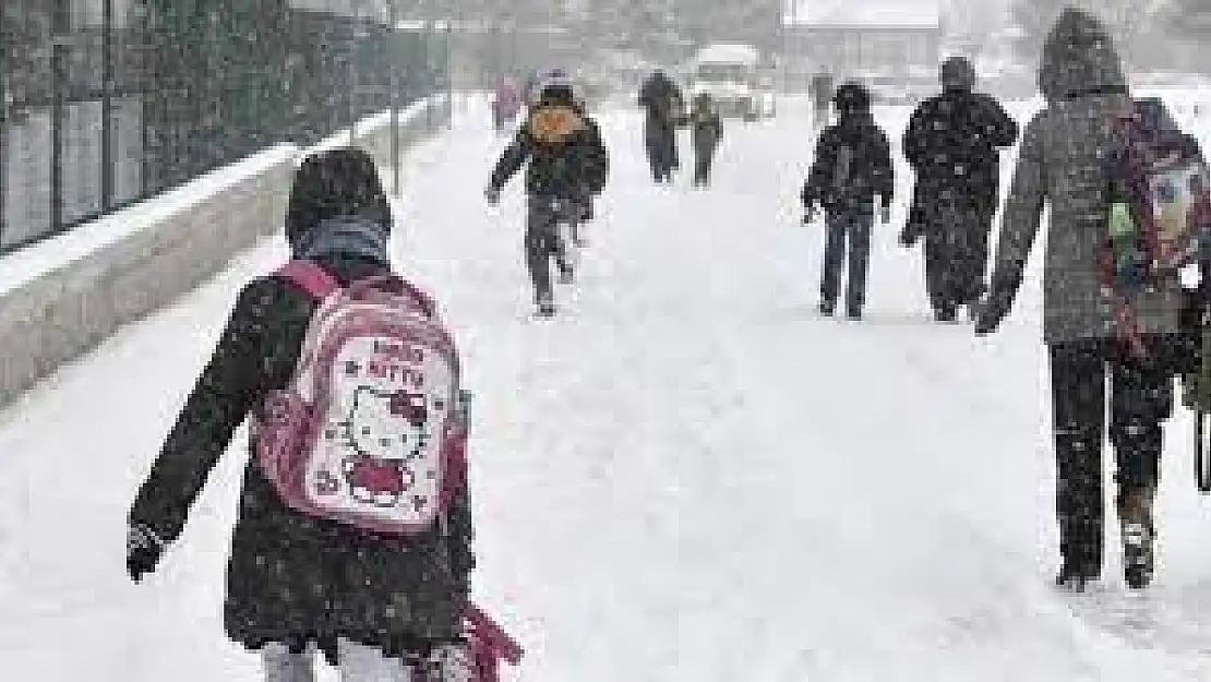 Bitlis’te eğitime bir günlük ara!