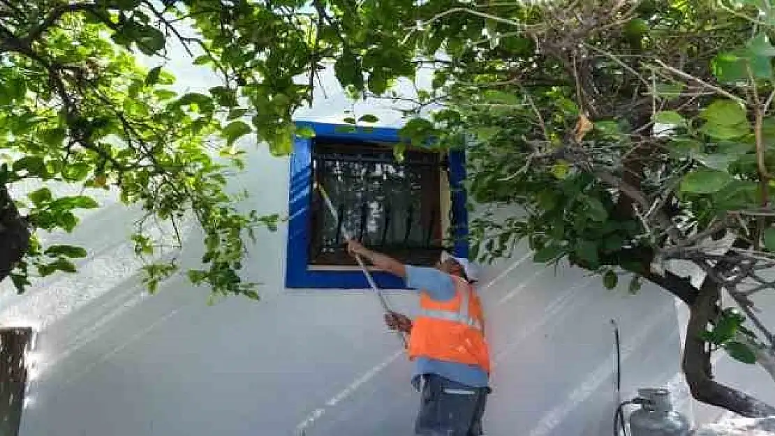 Bodrum’da sokaklar mavi ve beyaza bürünüyor