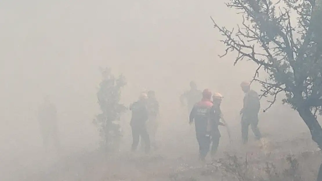 Bolu'da orman yangını yeniden başladı  