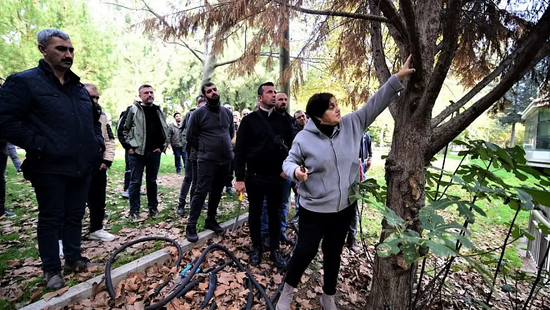 Bornova Belediyesi personeline ağaç budama eğitimi   