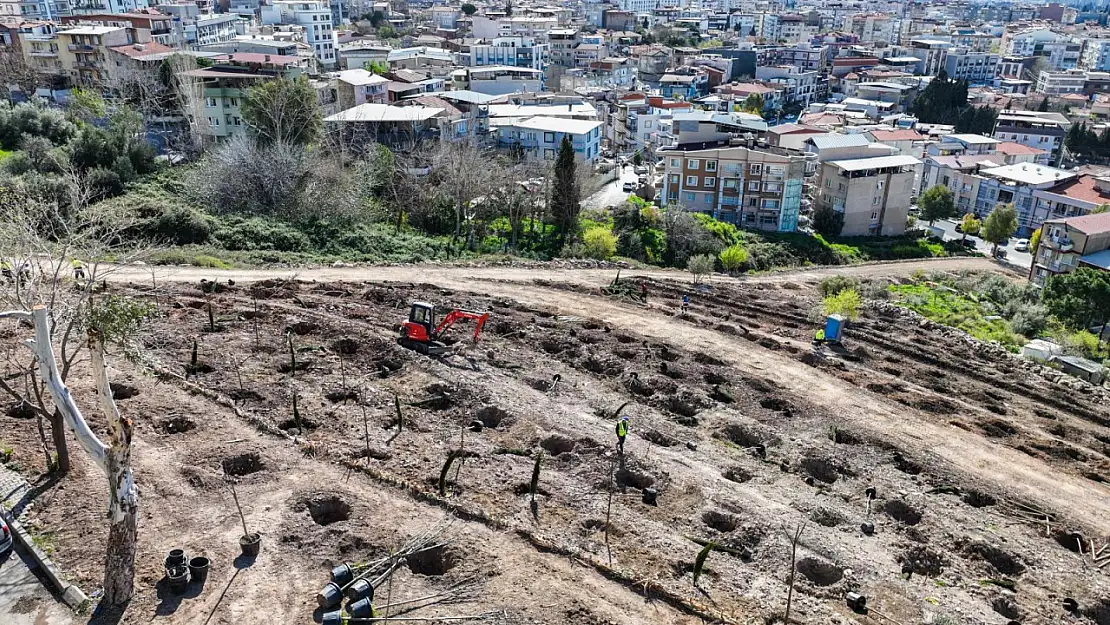 Bornova'ya nefes: Bin ağaçla yeni orman doğuyor!