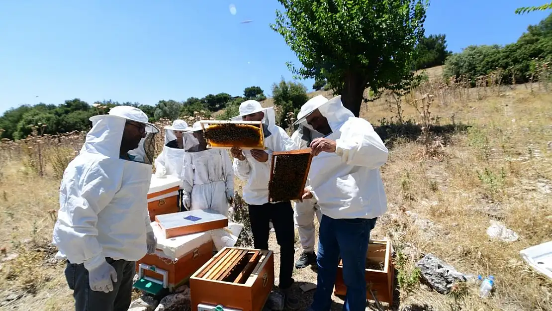 Bornova’da arıcılar yalnız değil