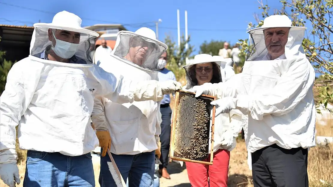 Bornova'da arıcılığın sorunları ele alındı