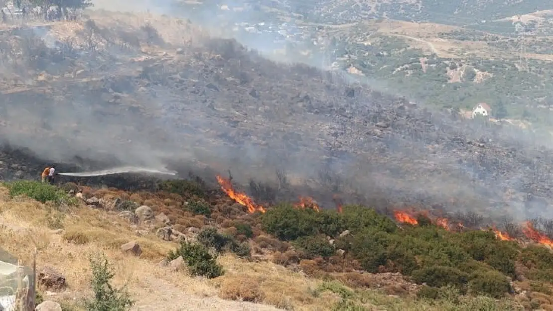 Bornova’da orman yangını: Havadan ve karadan müdahale başladı