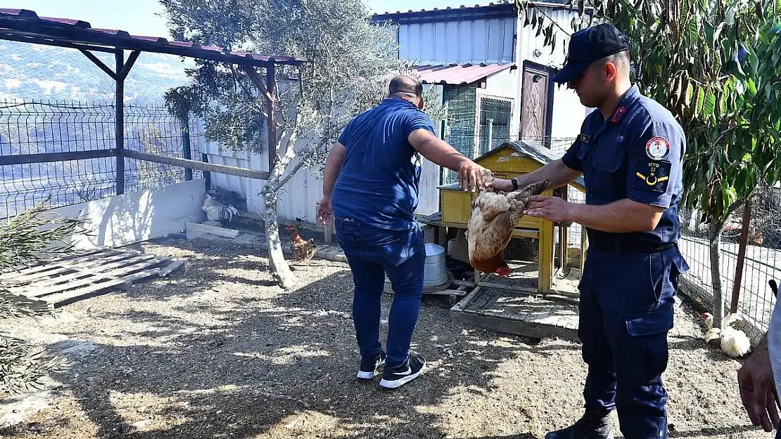 Bornova’daki yangına İzmir itfaiyesi de müdahale ediyor