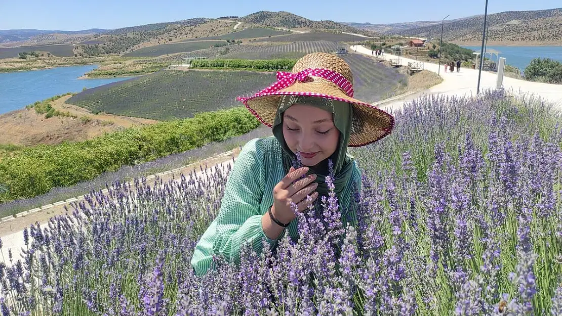 Bozkır lavantayla tablo gibi boyandı