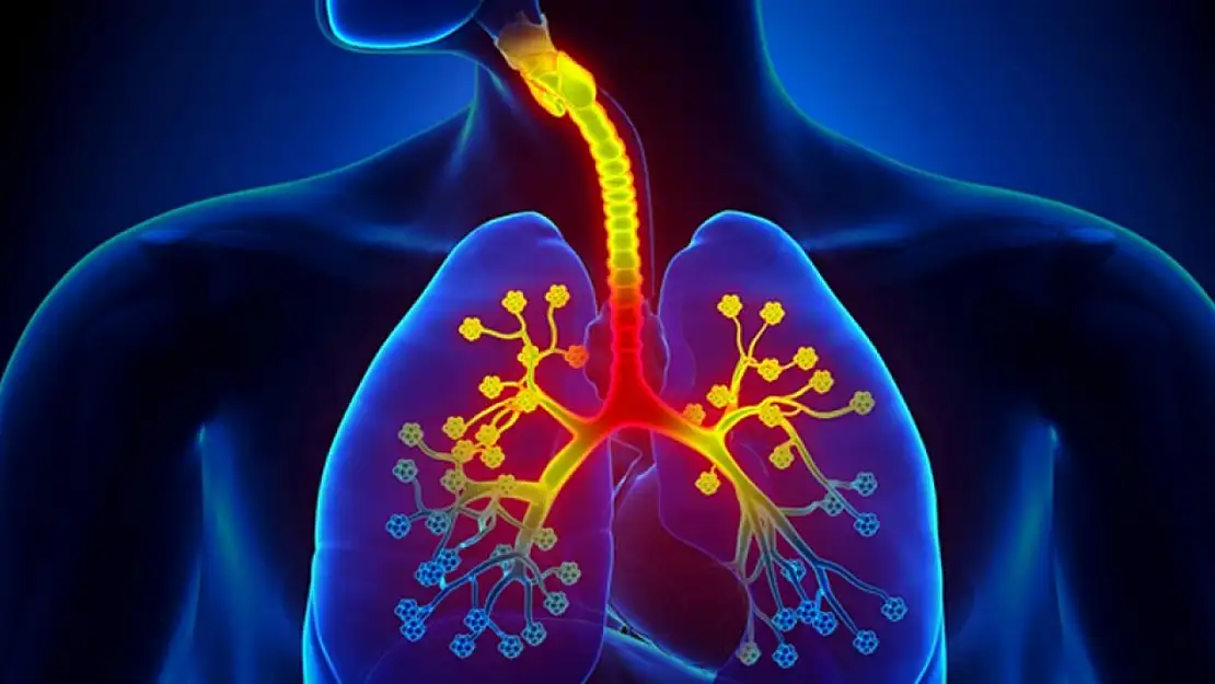 Bronşit nedir? Bebeklerde görülür mü? Belirtileri ve tedavi yöntemleri