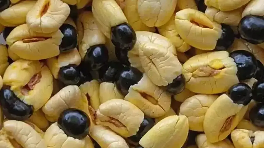 Bu meyve şifa da getiriyor ölüm de: İşte Ackee!