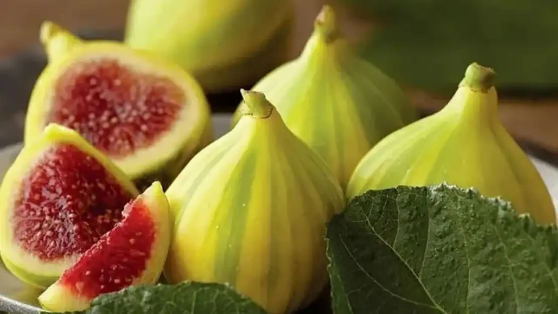 Buca Bardacığı'nın tanıtımı yapılacak