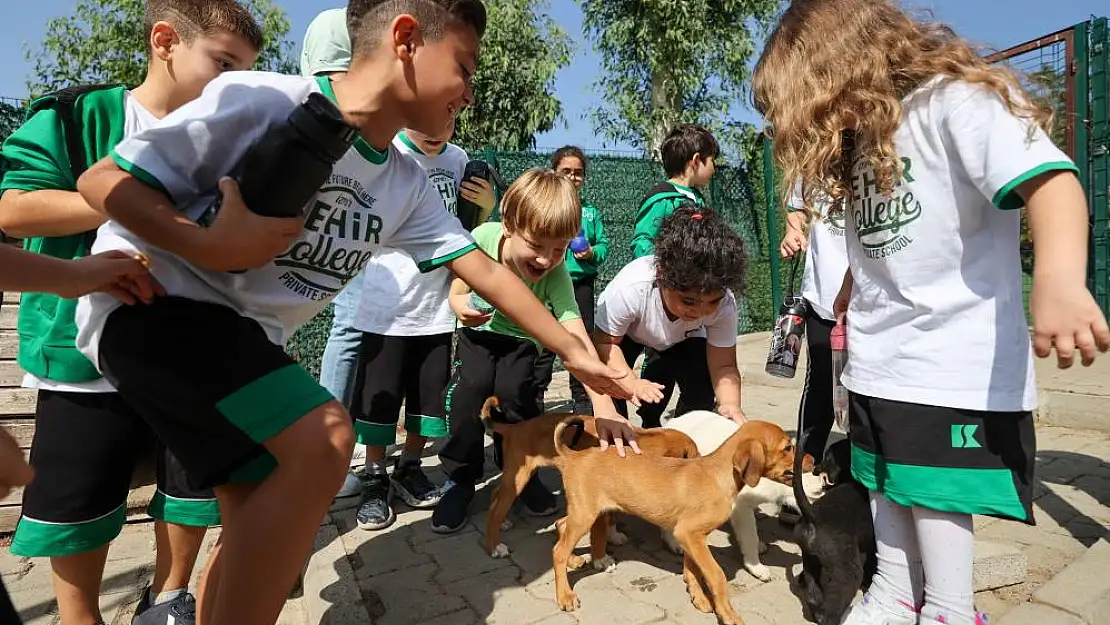 Buca Belediyesi, miniklere hayvan sevgisi aşılıyor