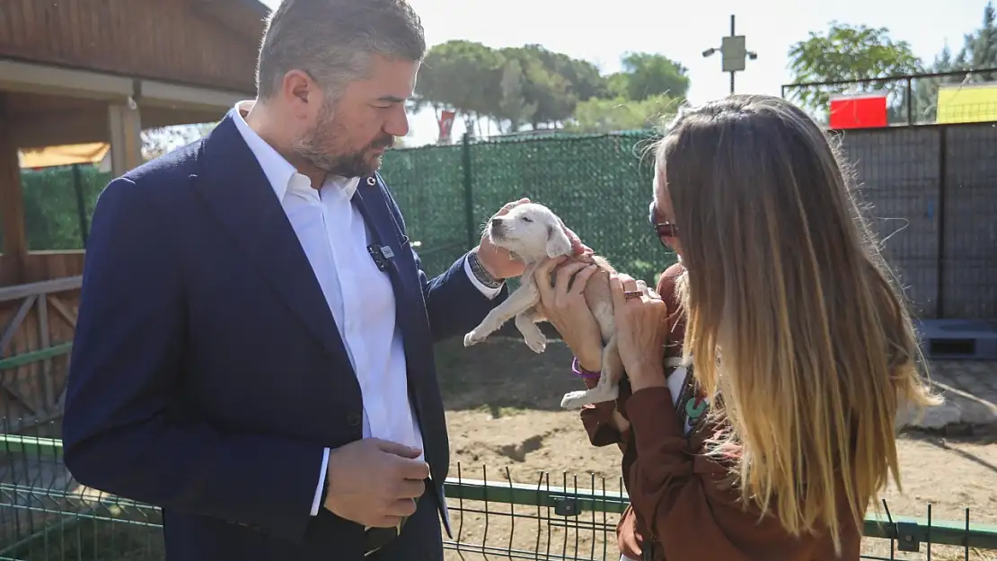 Buca Belediyesi'nden hayvanseverlere çağrı