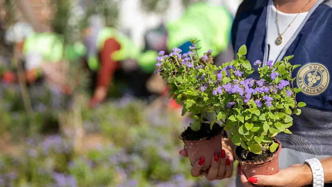 Buca'nın caddeleri çiçeklerle donatıldı