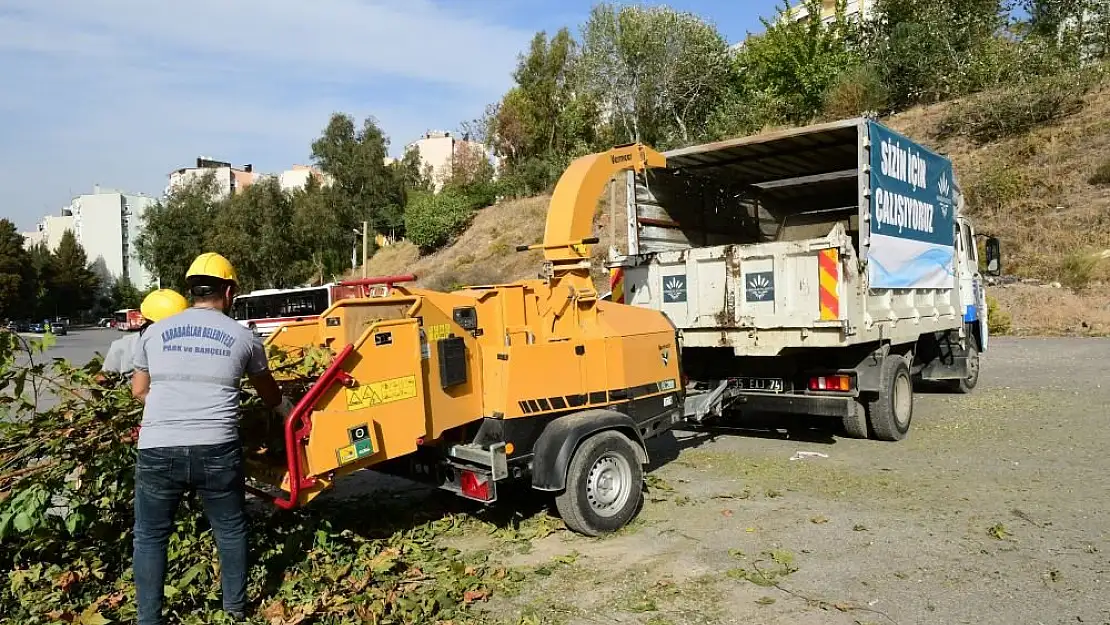 Budanan dallar gübreye dönüşüyor!