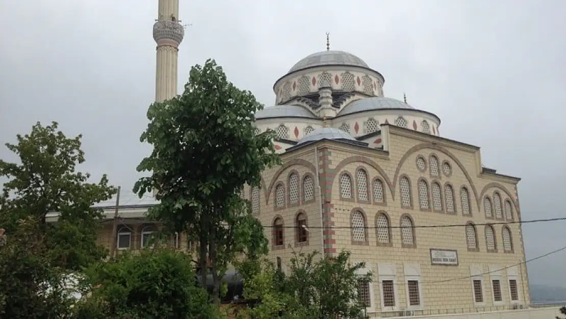 Camide kaçak göçmenleri yakalayan polis sürüldü