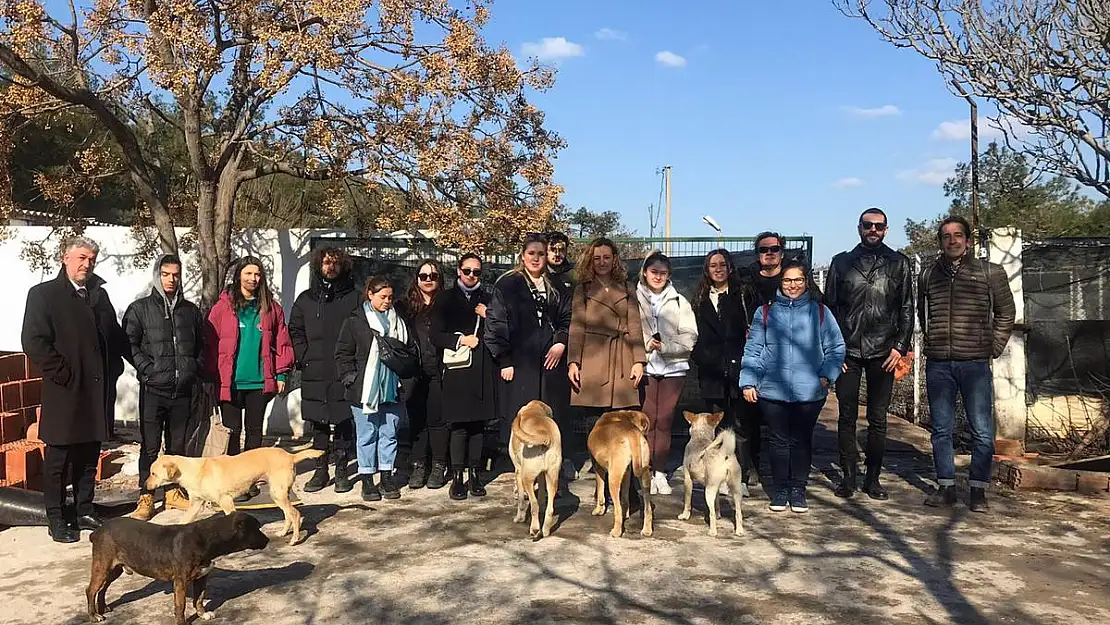 Can dostlar için yeni yuva projesi