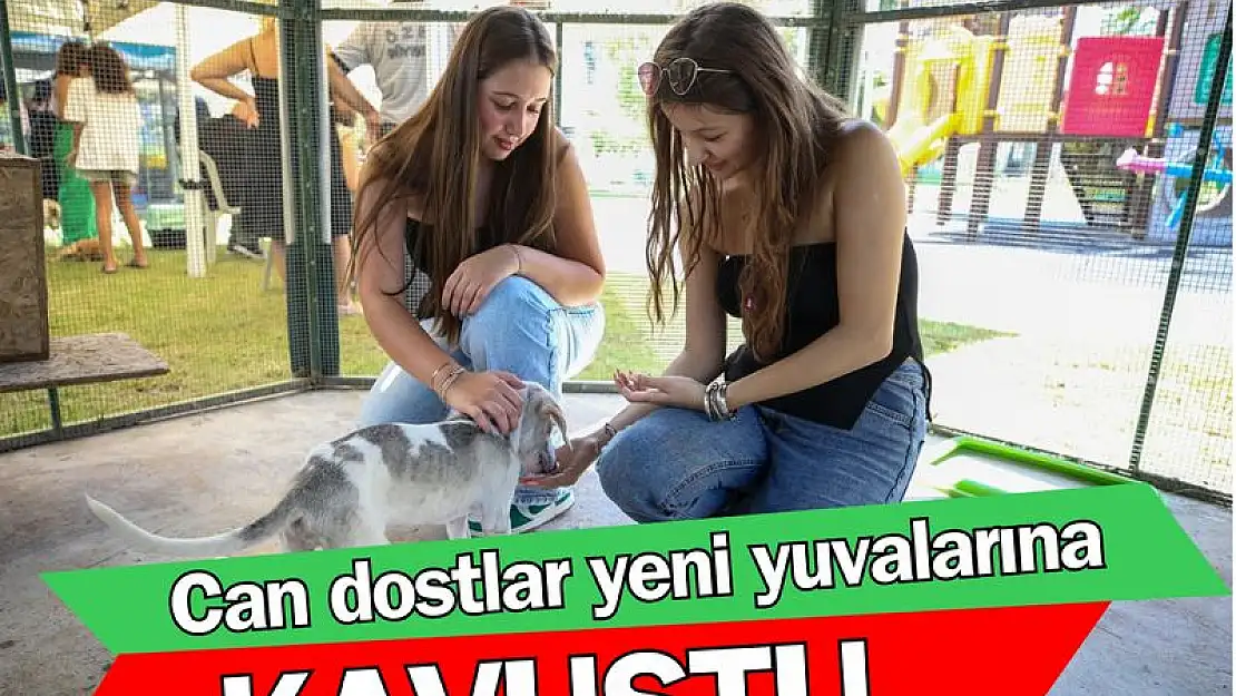 Can dostlar Karşıyaka’da yeni yuvalarına kavuştu