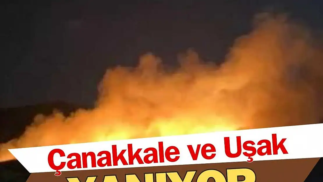 Çanakkale ve Uşak'ta orman yangını