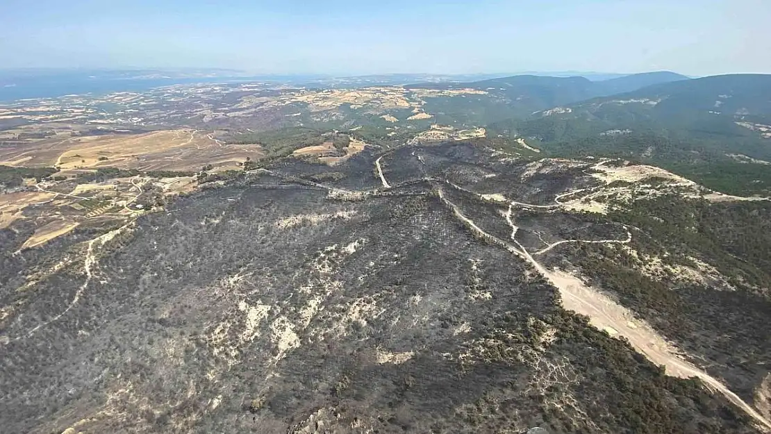 Çanakkale'de 5 bin 712 futbol sahası kül oldu