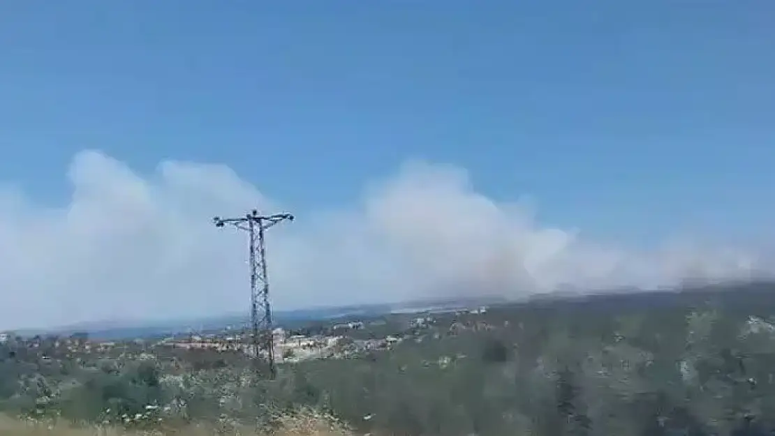 Çanakkale’de korkutan orman yangını