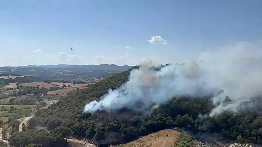 Çanakkale’de yine yangın çıktı!