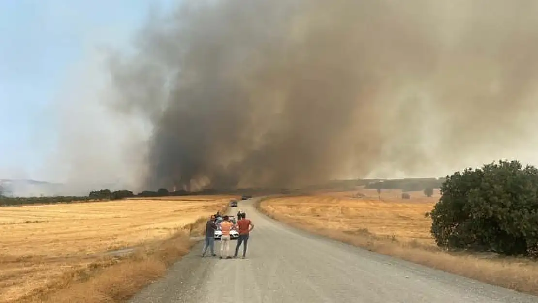 Çanakkale’deki orman yangını 3’üncü günde kontrol altına alındı