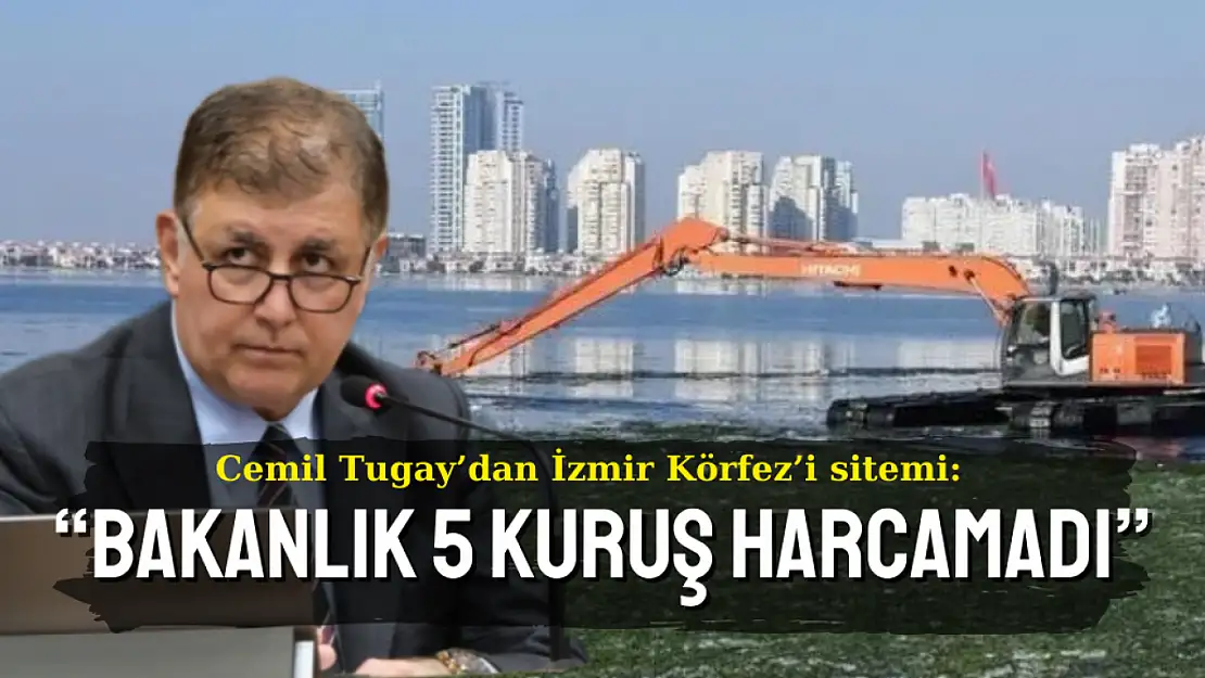 Cemil Tugay'dan bakanlığa körfez sitemi: Yaptıkları tek şey ceza kesmek