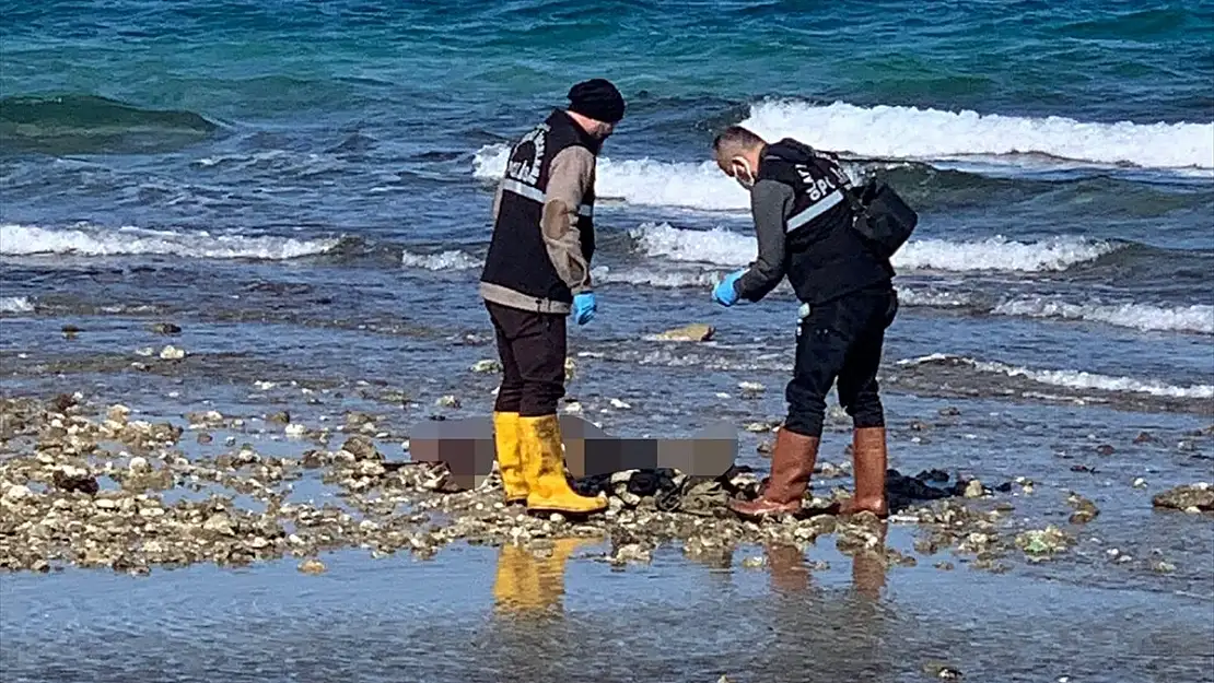 Çeşme kıyılarında erkek cesedi bulundu