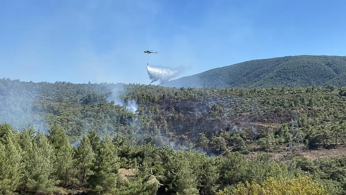 Çeşme’deki yangına müdahale sürüyor