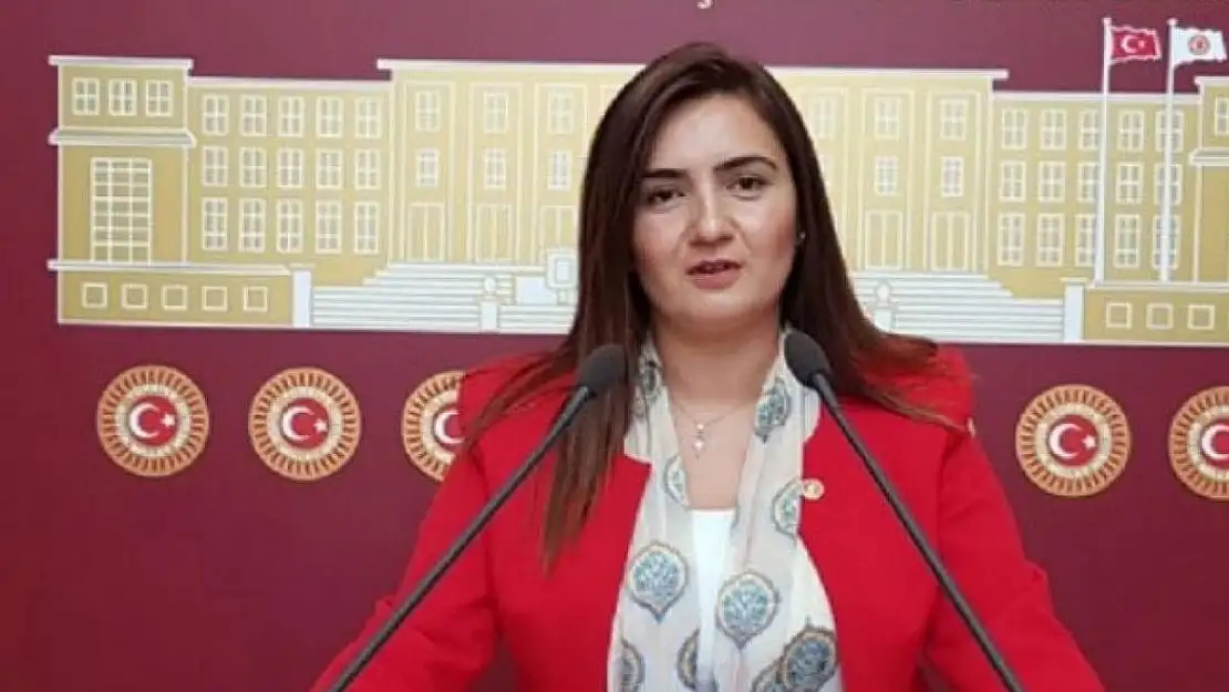 CHP İzmir Milletvekili Sevda Erdan Kılıç Kimdir?