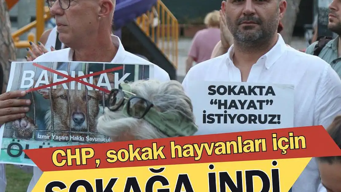 CHP İzmir’de sokak hayvanları için sokağa indi