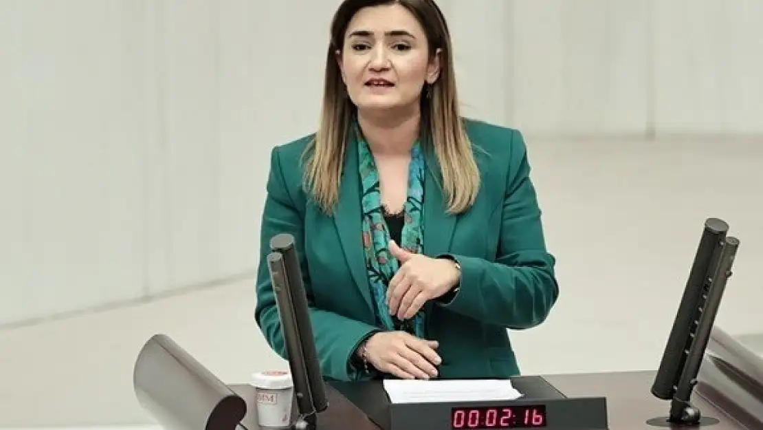 CHP'li Kılıç'tan 'Dilruba serbest bırakılsın' çağrısı