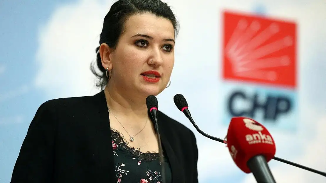 CHP'de 'danışman' tepkisi devam ediyor