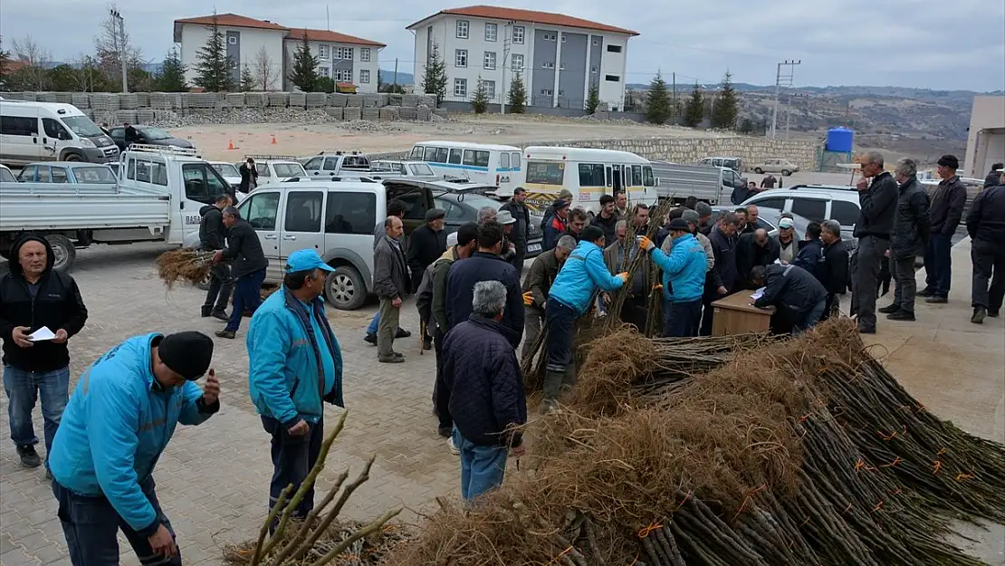 Çiftçilere 240 arı kovanı ve 16 bin 220 adet meyve fidanı dağıtıldı