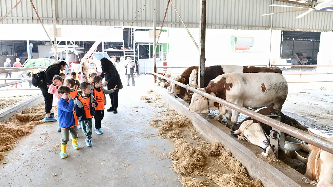 Çiğli'de çocuklar için doğa ve hayvanlarla dolu renkli gün