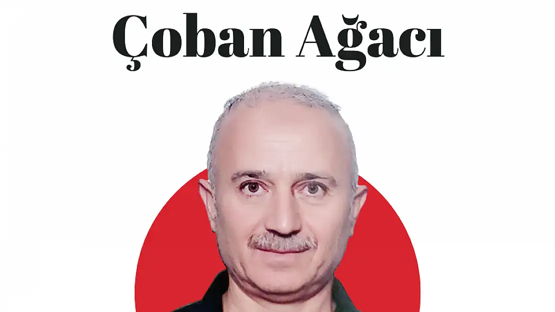 Çoban Ağacı