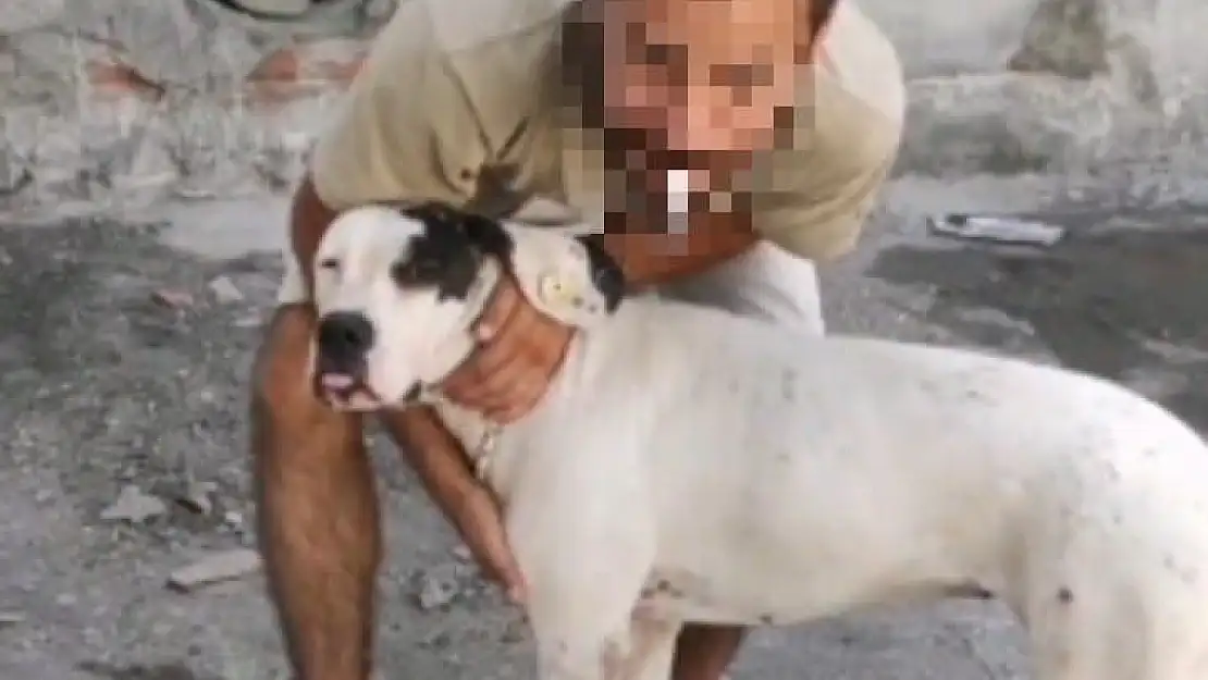 Çocuğa ve kadına saldıran köpeğin sahibine hapis talebi