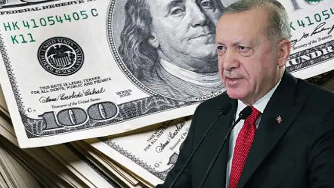 Cumhurbaşkanı Erdoğan’ı dinledi: Dolar bozdurdu, büyük zarara uğradı!