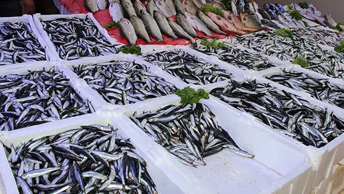 Dar gelirlinin balık tercihi hamsi yüzde yüz zamlandı