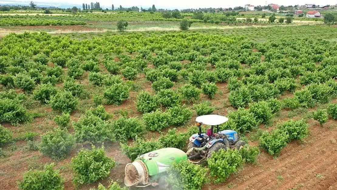 Denizli Büyükşehir Belediyesi dolu yağışında zarar gören çiftçiye destek oluyor