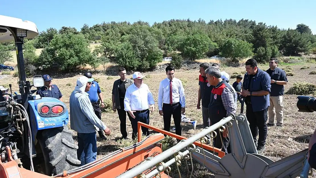 Denizli kekik hasadı başladı