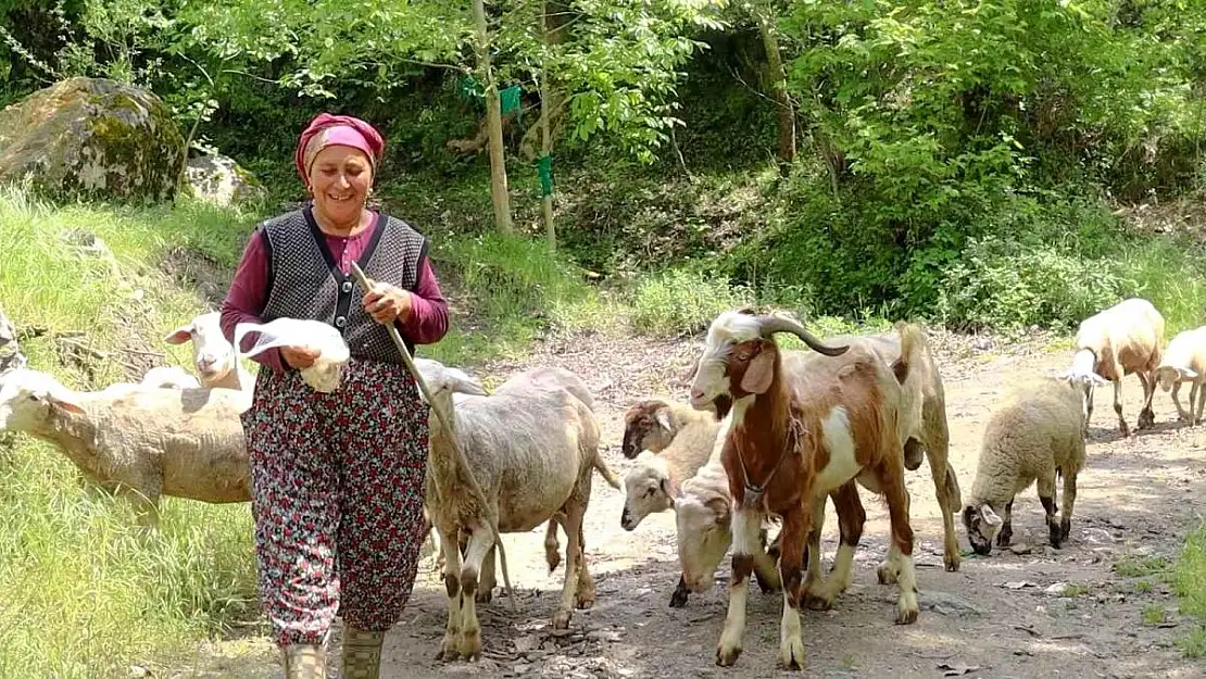 Denizli’de kadınlar yetiştirdiği hayvanlarla, hayvansal üretime katkı sağlıyor