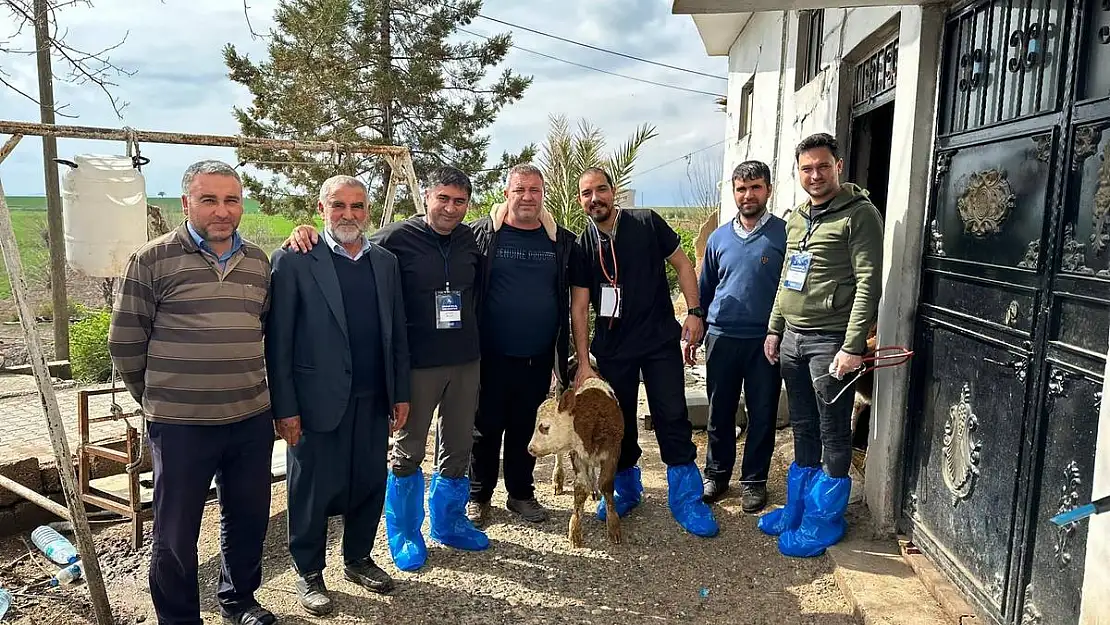 Deprem bölgesinde şap virüsü uyarıları