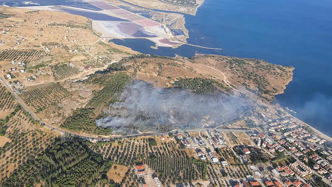 Dikili'de korkutan yangın: Müdahale devam ediyor