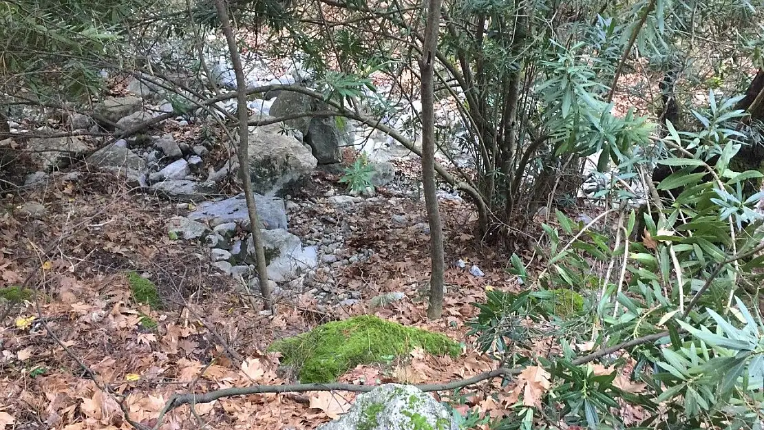 Doğanın kusursuz senfonisi eşliğinde yürüyecekseniz, kesinlikle burası. Üstelik İzmir'in hemen yanında!