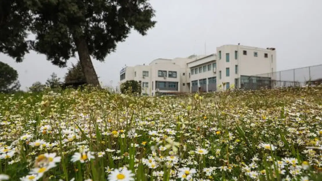 Dokuz Eylül Üniversitesi doğrudan karbon ayak izinin en düşük olduğu yükseköğretim kurumu