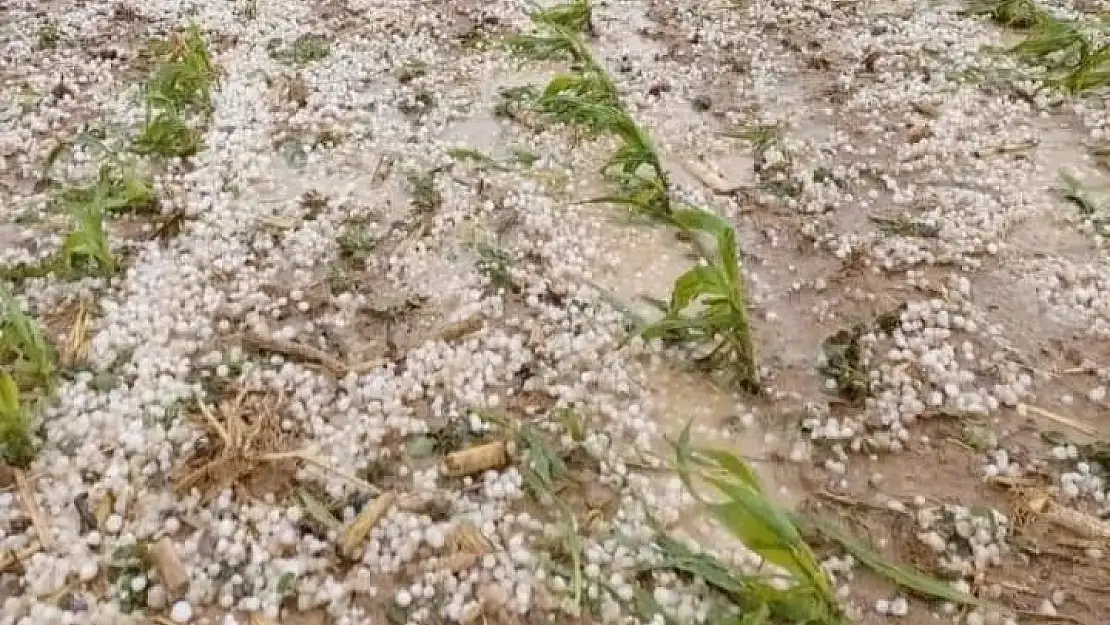 Dolu yağışı Torbalı Ovası’nı vurdu