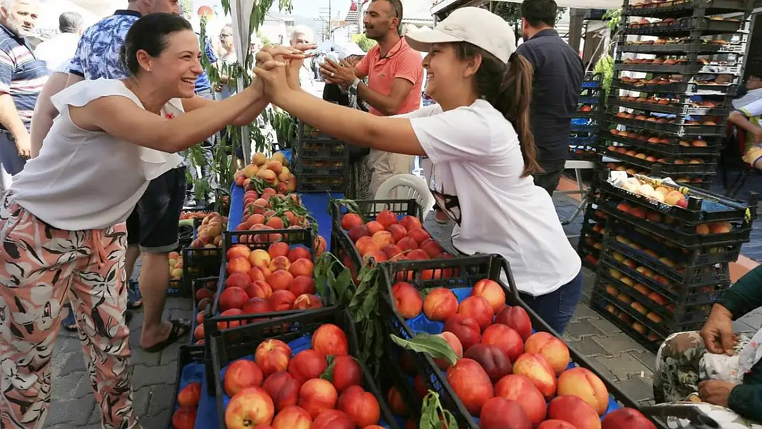 Efes Selçuk’ta Şen Şeftali Şenliği Yapılacak