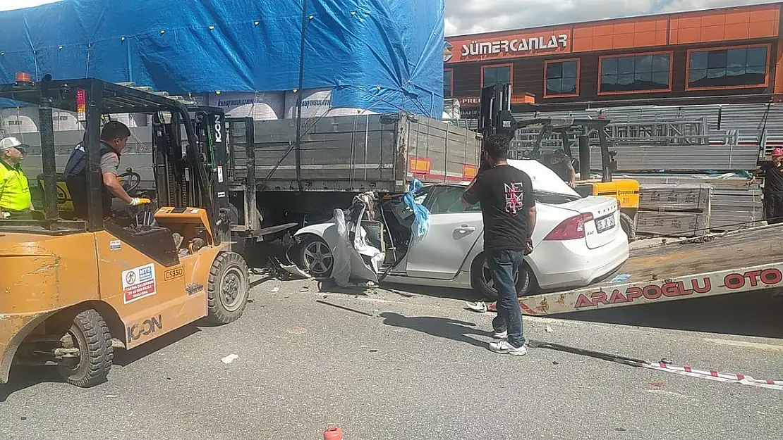 Egeli profesör kazada hayatını kaybetti